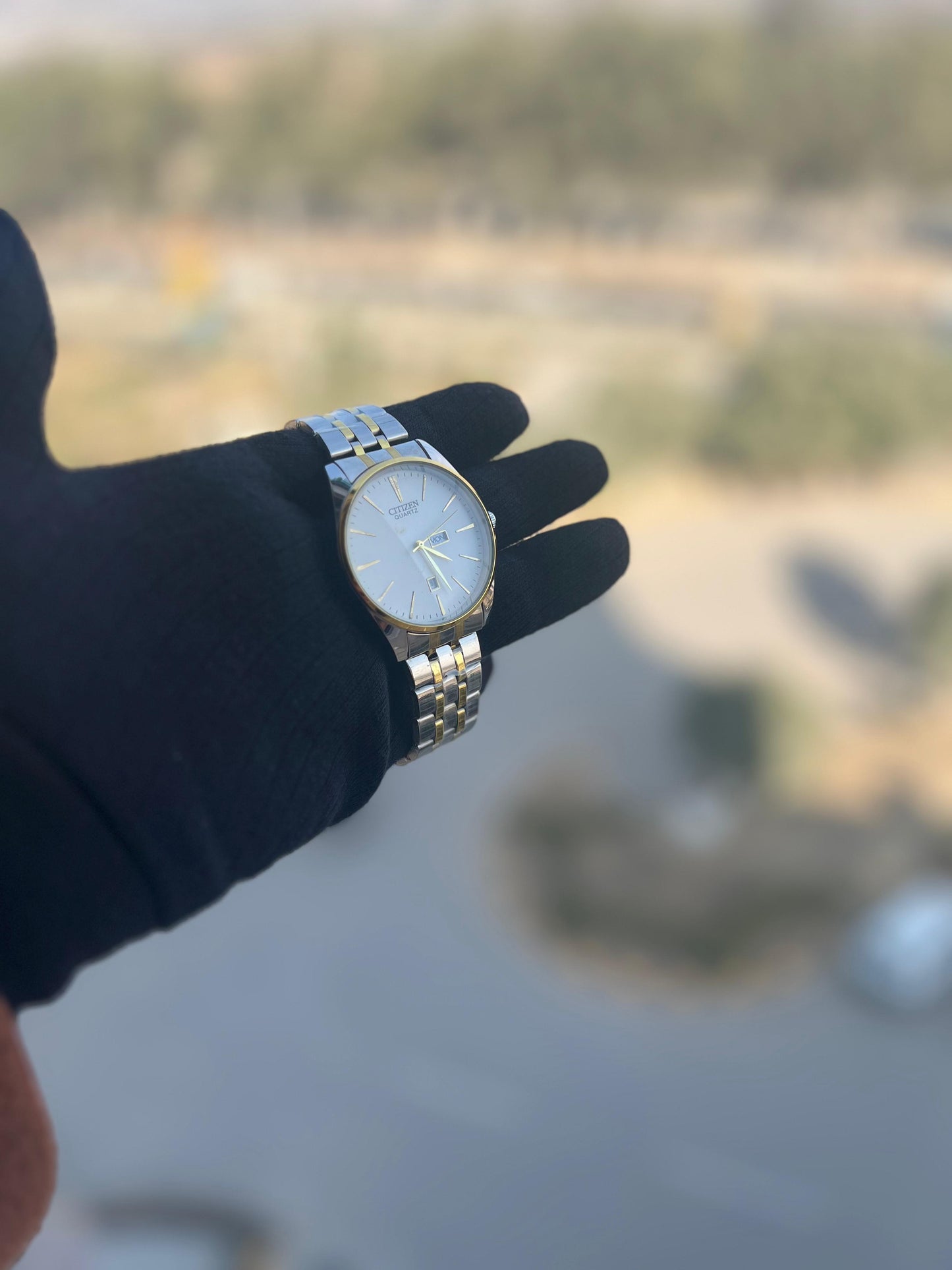 Citizen Quartz Men's Date Watch- AAA Quality