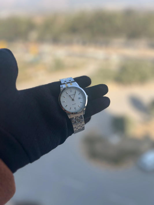 Citizen Quartz Men's Date Watch- AAA Quality