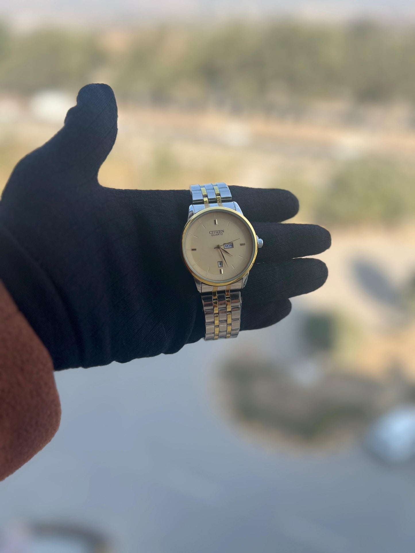 Citizen Quartz Men's Date Watch - AAA Quality